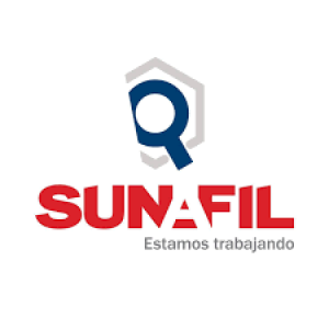 SUNAFIL / TRAMITES / AJ - SOCIEDAD DE
 AUDITORÍA Y CONTABILIDAD  / CONTADORES